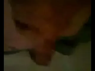 twink hammo jerks it