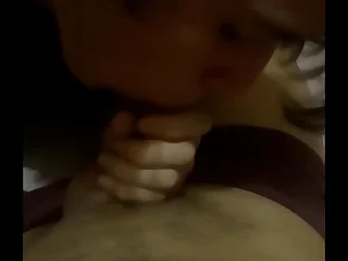 Novinho de Maracana&uacute; mamando