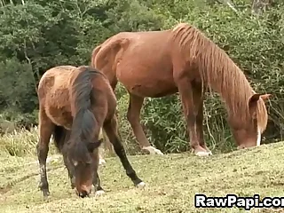 9005 blowjob porn videos